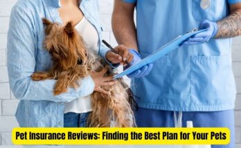 Affordable Pet Insurance Plans